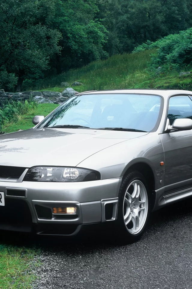 дорога, гтр, r33, кусты, skyline, грунтовка, легендарный, серебристый, ниссан, v-spec, спорткар, gt-r, трава, автомобиль, снайлайн, nissan
