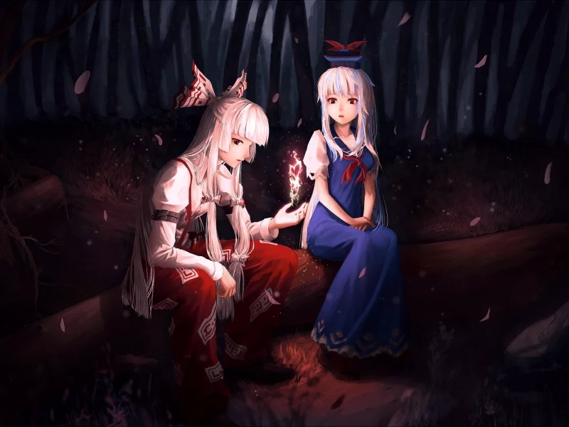магия, бревно, лес, лепестки, touhou, kamishirasawa keine, ночь, fujiwara no mokou, девушки