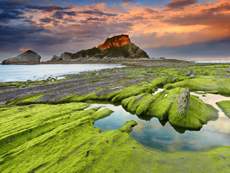камни, водоросли, скалы, море, небо