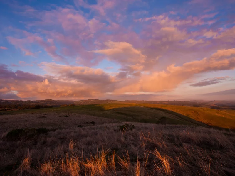 облака, sky, холмы, зелень, greenery, clouds, пейзаж, трава, 2560x1600, небо, hills, nature, природа, grass, sunset, landscape, закат