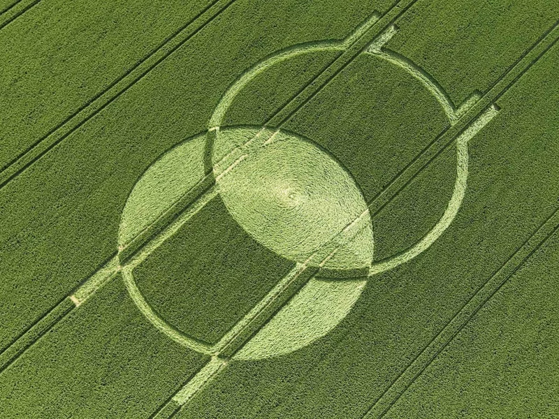круги, нло, поле