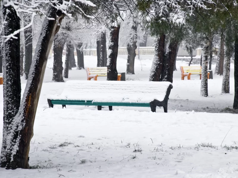 снег, зима, парк, деревья, разноцветные, snow park, скамейки