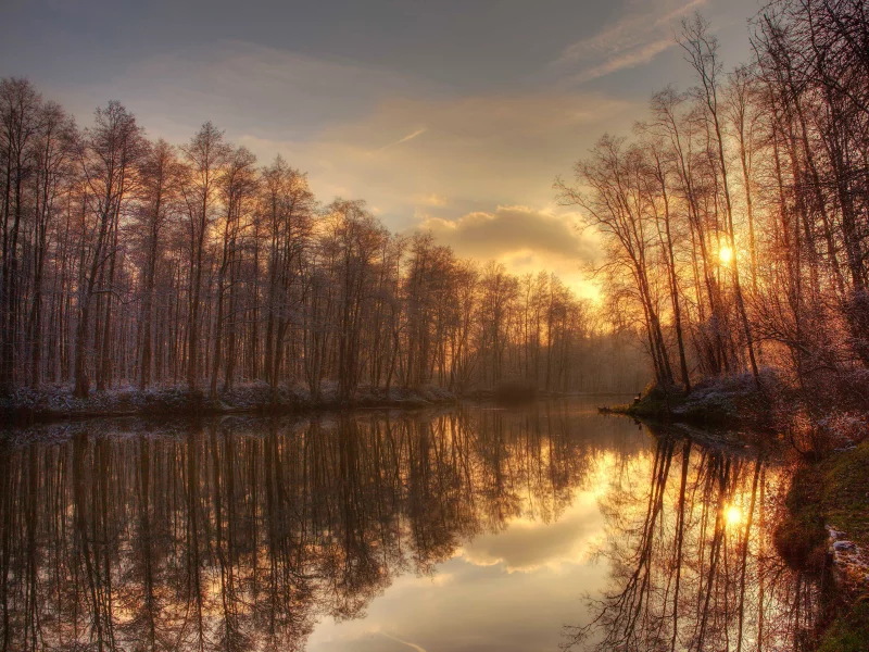 зеркало, река, природа, вода, деревья