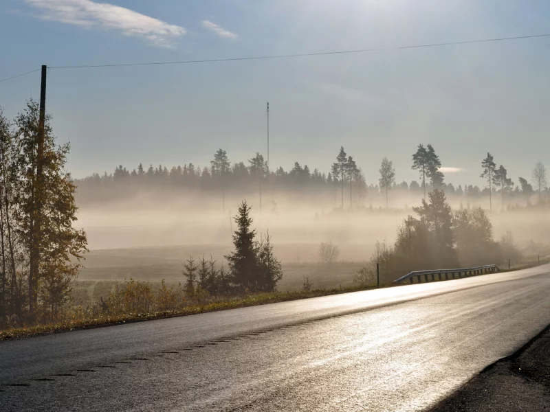 туман, дорога, утро