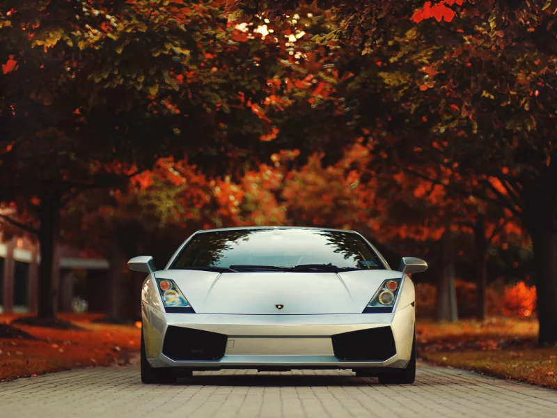 осень, lamborghini, gallardo