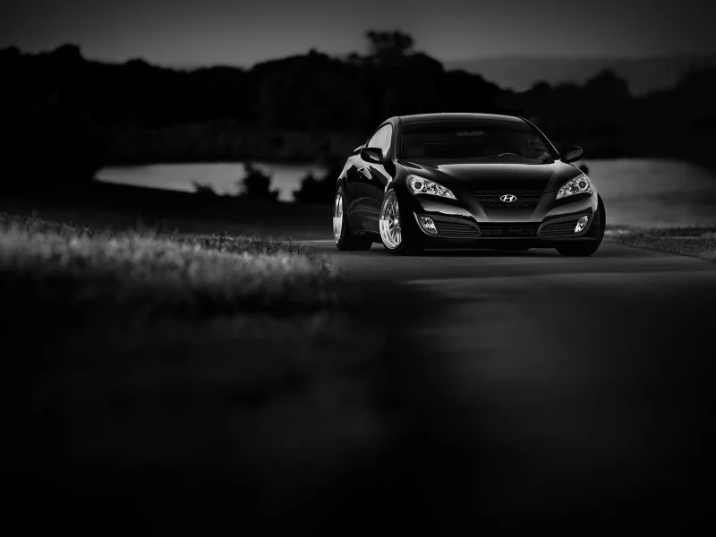 genesis, hyundai, coupe, white, black