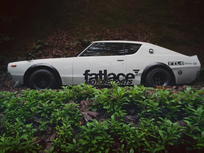 fatlace, skyline, осень, лес, листья, nissan, gt-r, дерево