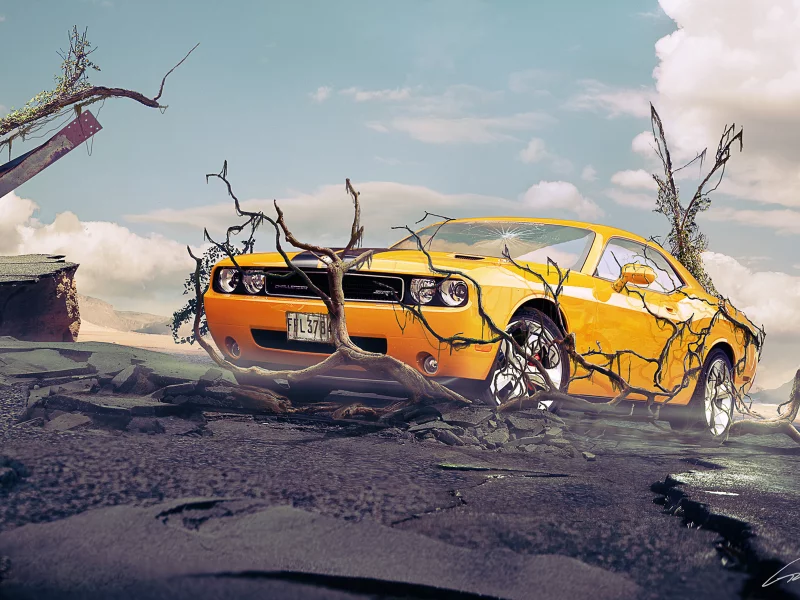 camaro, naturecomeback, ветви