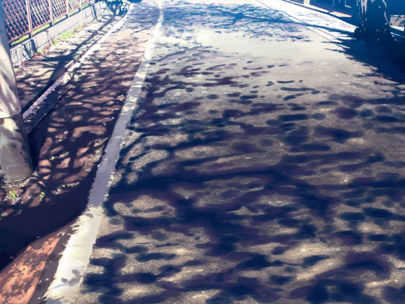 город, деревья, красота, дорога, sunshine road, тени