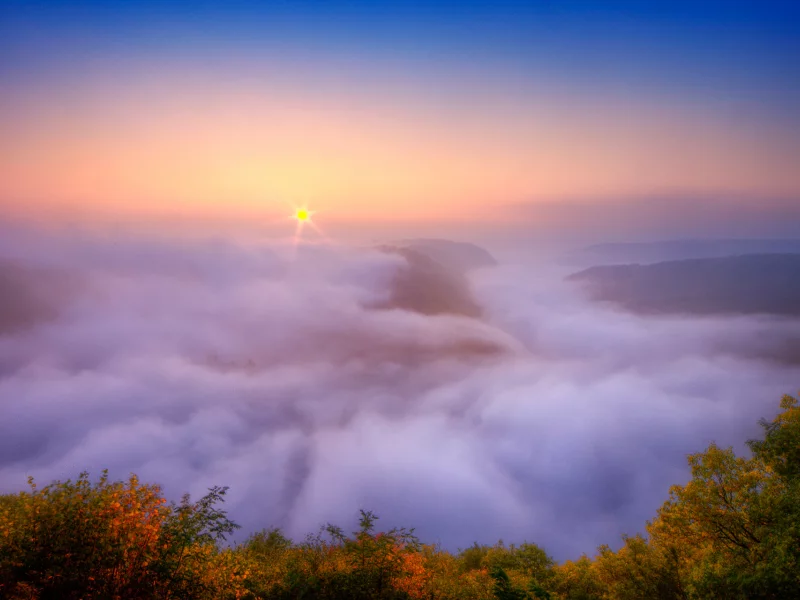 осень, река, утро, туман, саар