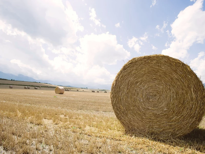 field, стог, пейзаж, сено, поле, горизонт, expanse
