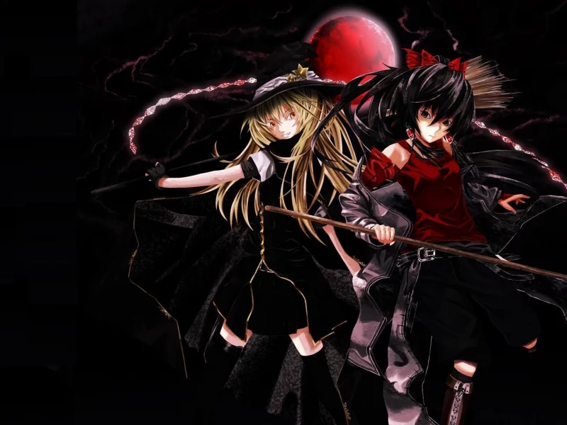 shiiku, даммаку, рэйму хакурэй, луна, мариса кирисамэ, touhou, hakurei reimu, игра, аниме, ночь, kirisame marisa