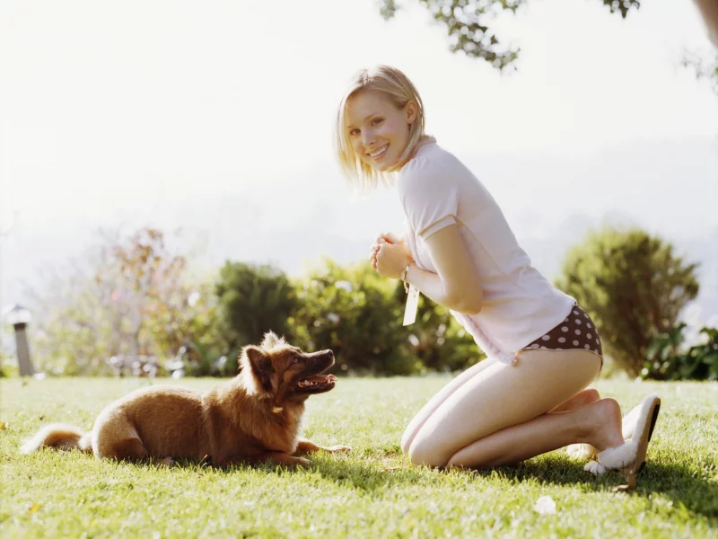 кристен бэлл, собака, kristen bell, трусики