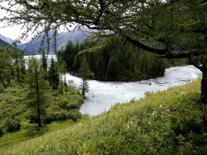 горы, озеро, лес, вода