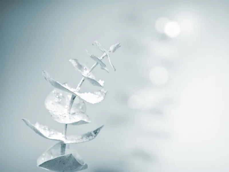 magic touch, snow, soft