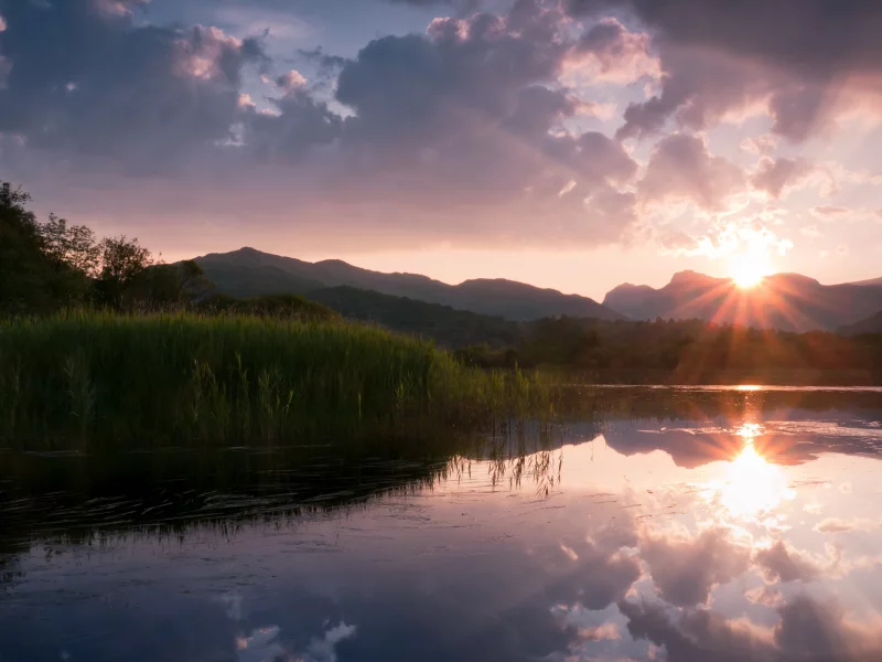 лес, водоем, озеро, закат, вечер, природа, солнце, облака