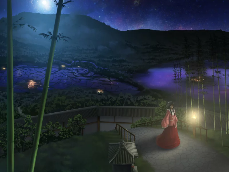 ночь, touhou, прогулка, бамбук, девушка, звезды, парк, огни