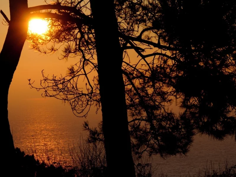 небо, свет, sea, sunset, water, light, тень, ocean, sun, landscape, shadow, море, sky, trees, пейзаж, деревья, вода, солнце, природа, океан, закат, nature