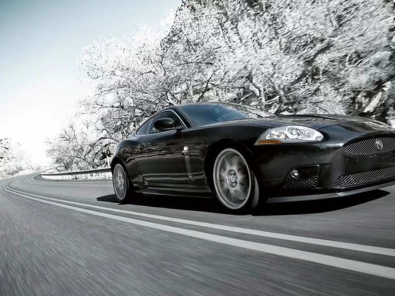 ягуар, jaguar xk, в снегу, чёрный, деревья, дорога