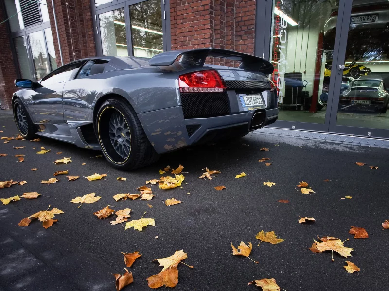 осень, сзади, lamborghini