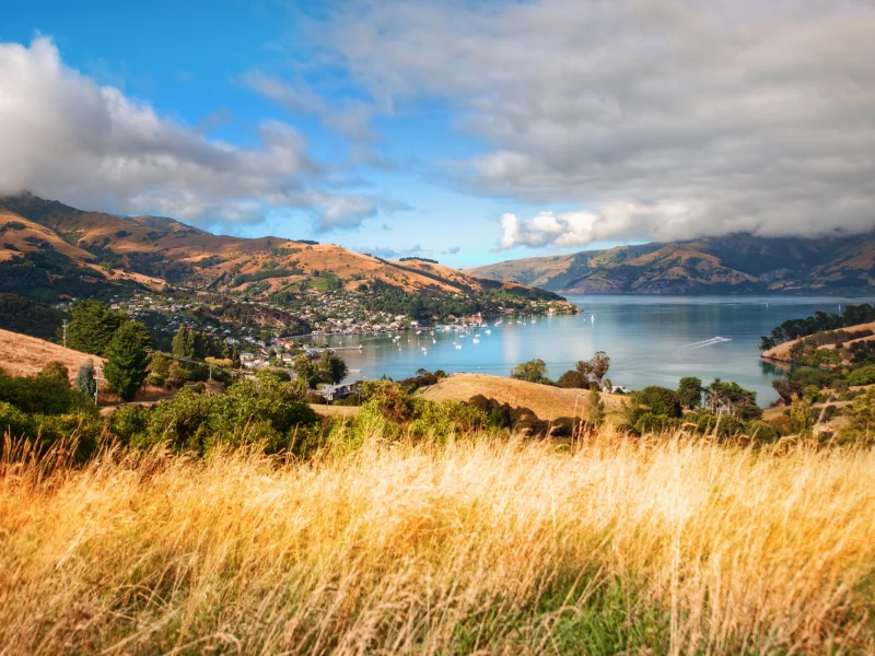 akaroa, new zealand, south island, новая зеландия, aotearoa
