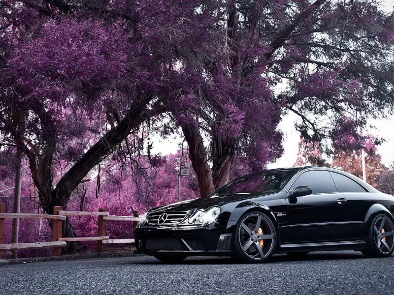 мерседес, mercedes benz, купе, clk, деревья, black series, розовые, автомобиль