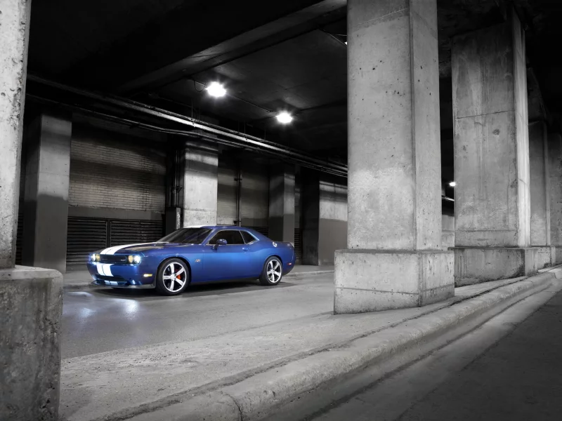 2011, обои, cars, dodge, авто, машина, srt8, колонны, muscle car, wallpaper, challenger