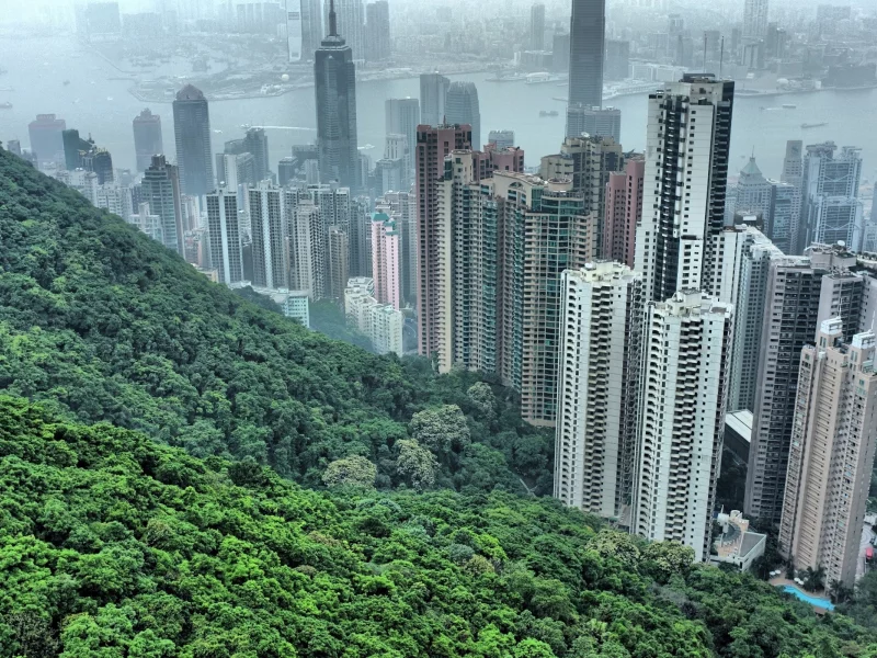 гонгонг, china, деревья, дома, hong hong, китай, небоскрёбы