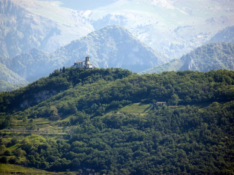 горы, поместье, лес