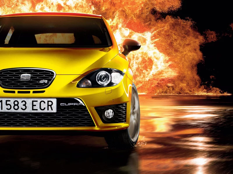 leon, seat, cuprar, желтый