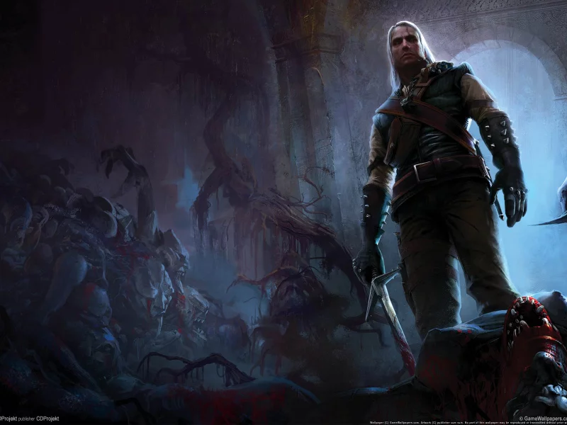 анджей сапковский, ведьмак, the witcher, геральт, подземелье
