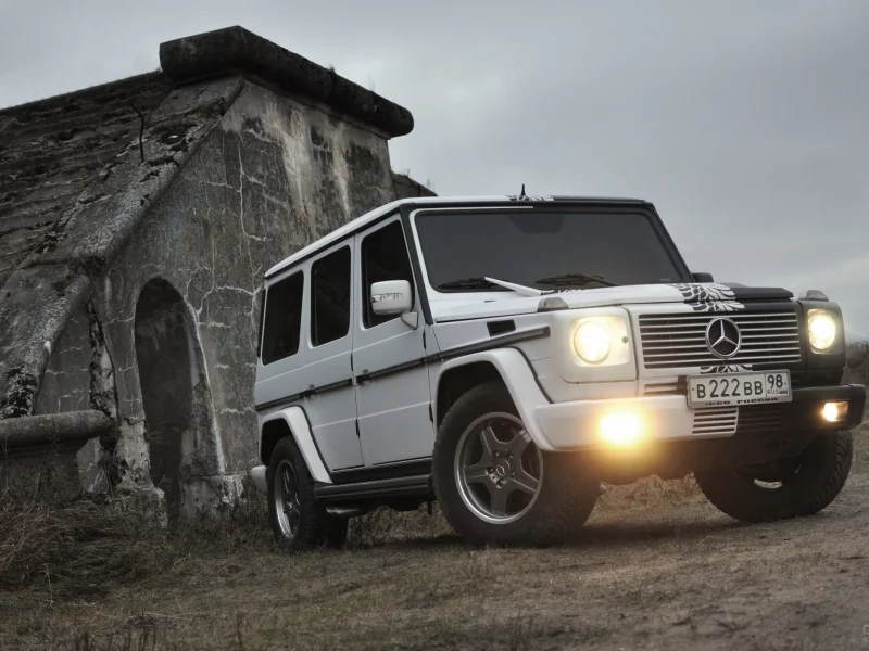 mercedes-benz, гелик, собака