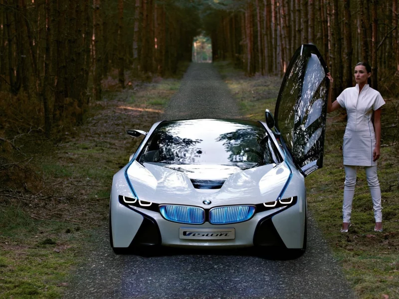 будущие, девушка, лес, белое, bmw