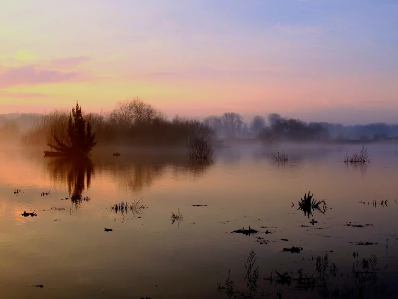 водоём, nature wallpaper, деревья, туман, рассвет, небо