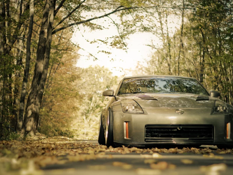 осень, nissan, 350z, дорога