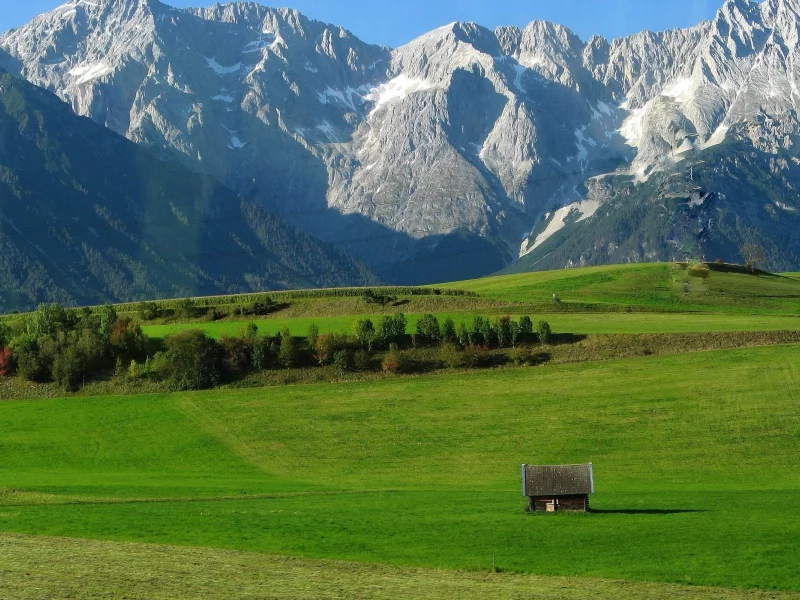 поляна, деревья, луга, луг, природа, трава, снег, ущелье, домик, горы, фото, пастбище