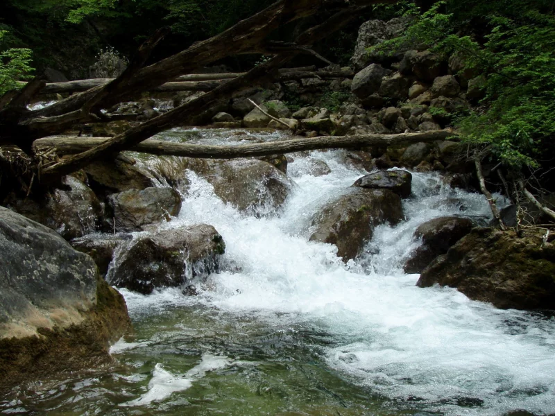 каменные, пороги, горная, река, природа