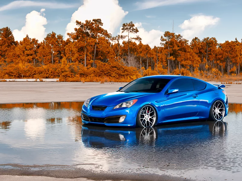 лужа, genesis, auto wallpapers, авто фото, тачки, авто обои, cars, деревья, hyundai