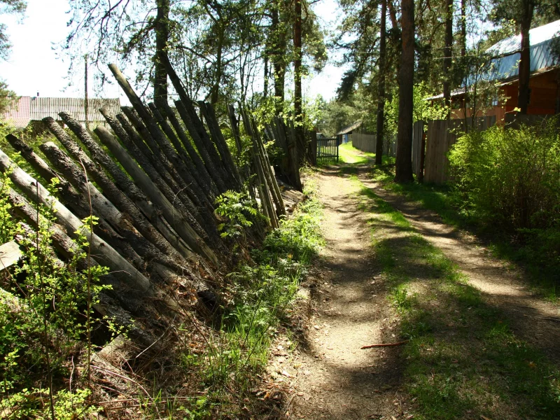 прогулка, покосился, утро, природа, забор, зелень, дорога, деревня, настроение