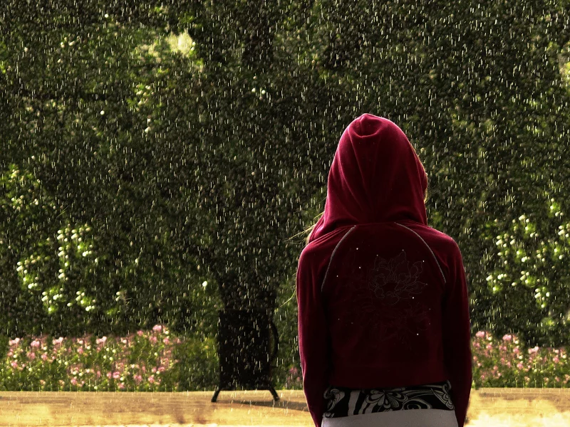 girl, tree, девушка, rain