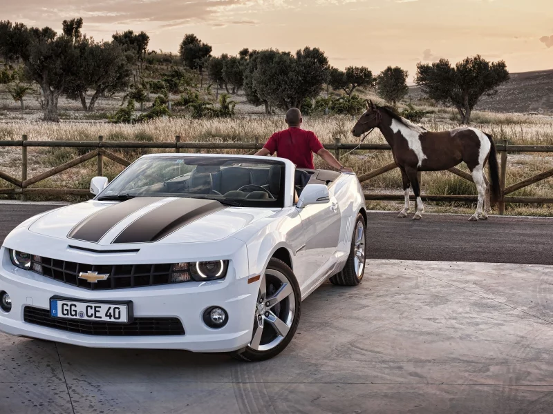 chevrolet, забор, camaro, мужчина, лошадь, дорога