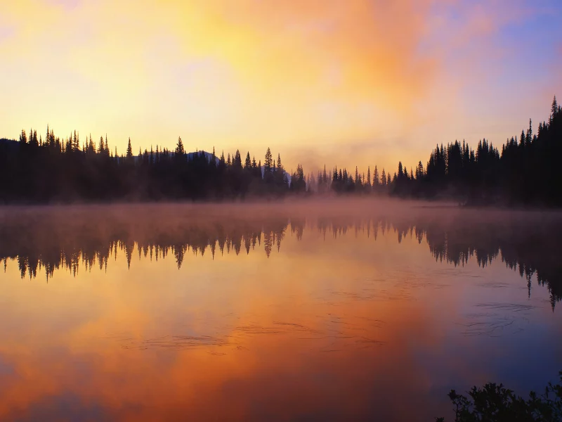 лес, природа, закат, озеро, пейзаж
