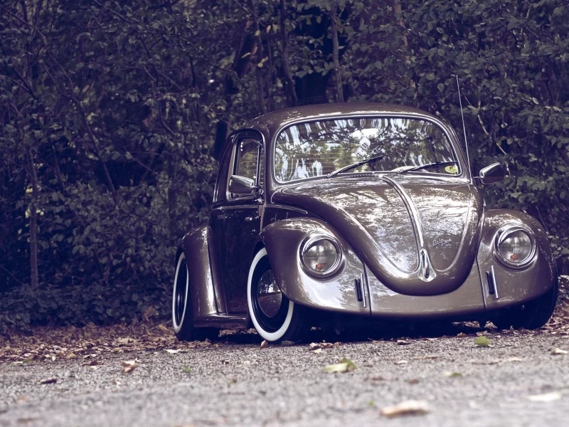 природа, осень, volkswagen, beetle, ретро