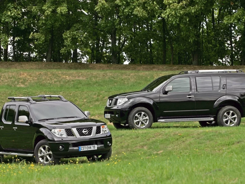 navara, nissan, трава