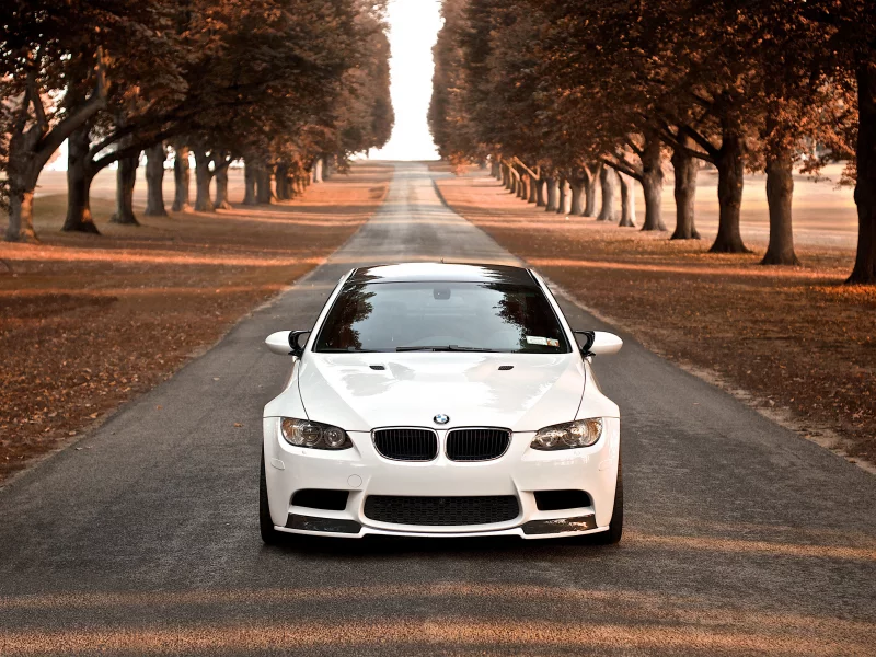 осень, белая, дорога, деревья, bmw