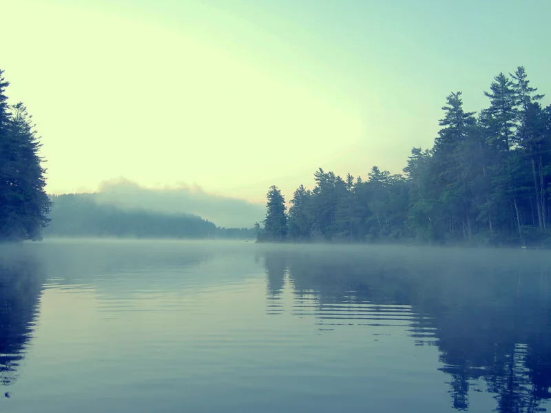 вода, берег, 00spaceoddity00, лес, mist, туман