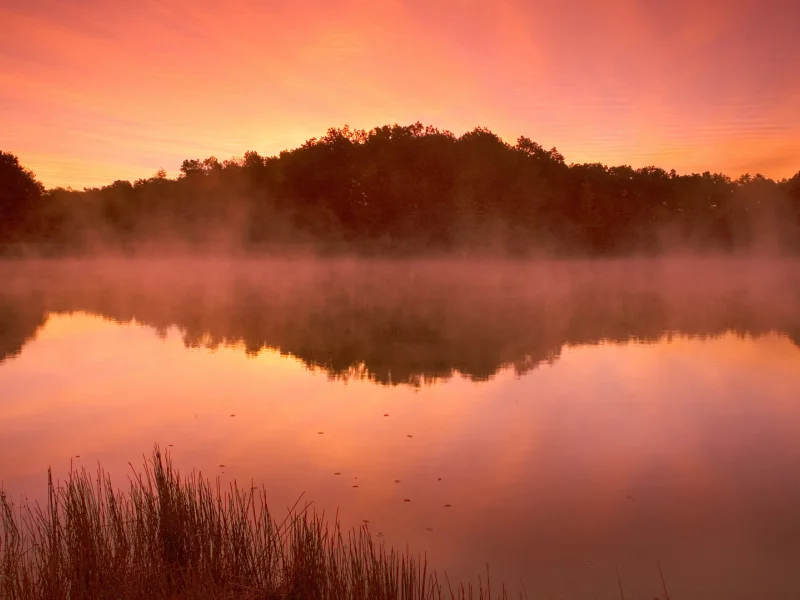 закат, trees, вода, природа, деревья, озеро, 1920x1080, пар, lake, sky, water, nature, landscape, небо, пейзаж, steam, sunset