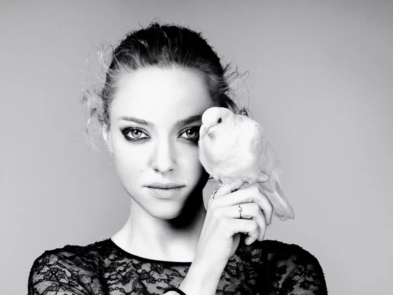 актриса, amanda seyfried, голубь, аманда сайфред, чб фото, кольцо