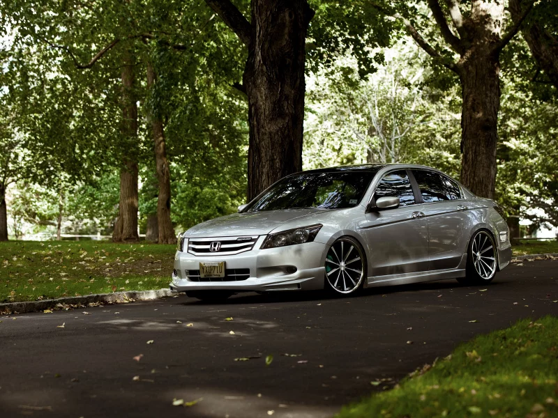 парк, accord, тачки, хонда, auto wallpapers, honda, деревья, cars, авто обои, авто фото, mugen