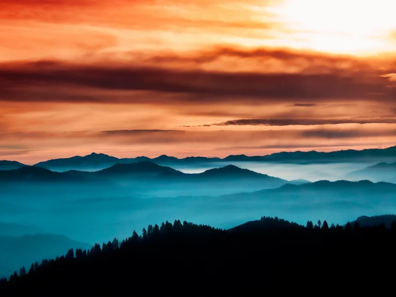 лес, туман, thoughful horizon, небо